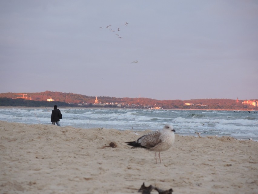 Piękna pogoda w Świnoujściu - już dawno nie było tak ładnie. Zobacz zdjęcia z plaży