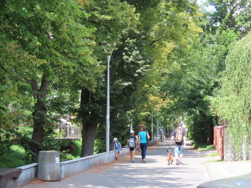 Niebezpiecznie na ścieżce rowerowej w centrum Kielc przy Silnicy. Radny proponuje przeniesienie drogi. Ratusz mówi, że to niemożliwe 