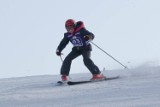 Mistrzostwa w narciarstwie alpejskim w Cisowej [ZDJĘCIA]