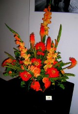 Kwiaty Lata 2011 - nagrodzone kompozycje (ZDJĘCIA)