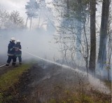 OSP: Pożar pod Zdunami w okolicach Ujazdu. Czy to kolejne podpalenie? [ZDJĘCIA]