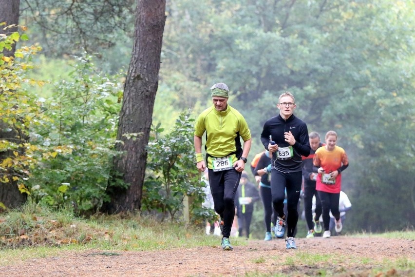 Rekordowy bieg City Trail  nad Jeziorem Szmaragdowym [zdjęcia]