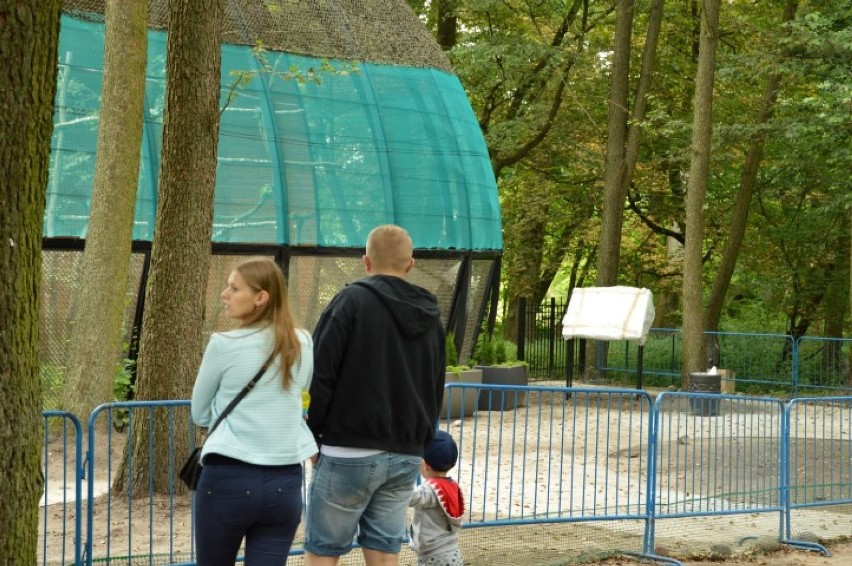 Woliery w parku w Wejherowie już są gotowe do otwarcia