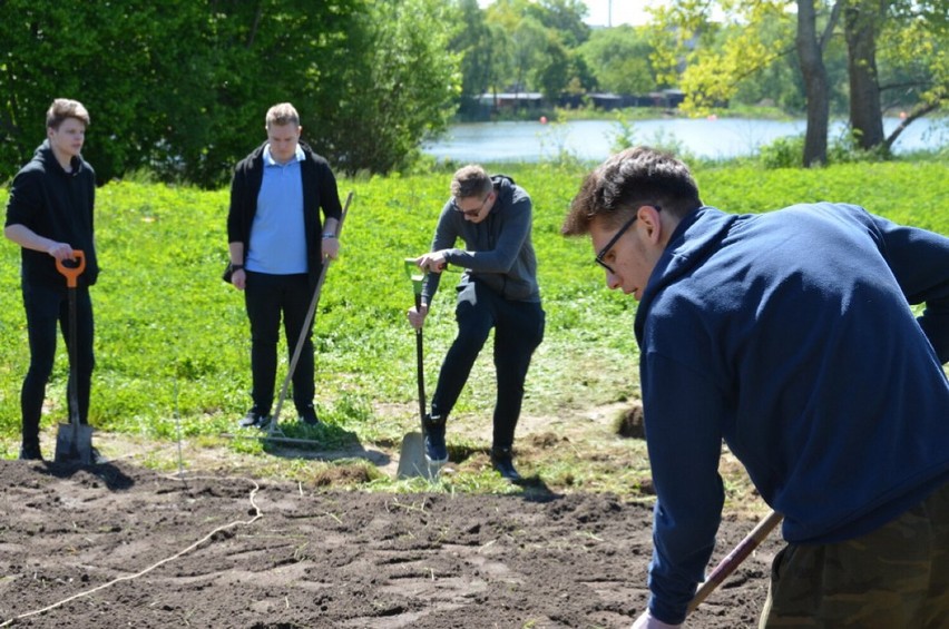 Uczniowie I LO w Kartuzach pomagali z budową strefy do grillowania