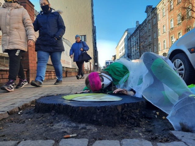 Happening przy wyciętych kasztanowcach na Raciborskiej w Katowicach