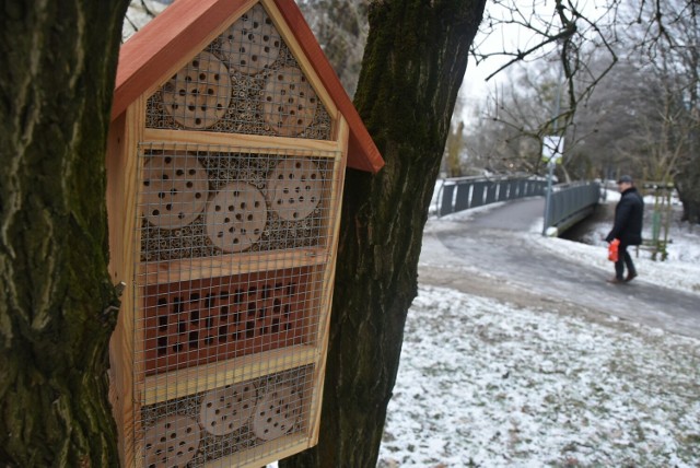 Na skwerze przy ul. Strzeleckiej zamontowano dwa domki dla owadów i dwie budki dla ptaków.