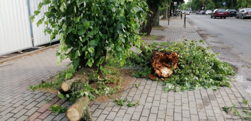 Połamane drzewo przy ulicy Wojska Polskiego