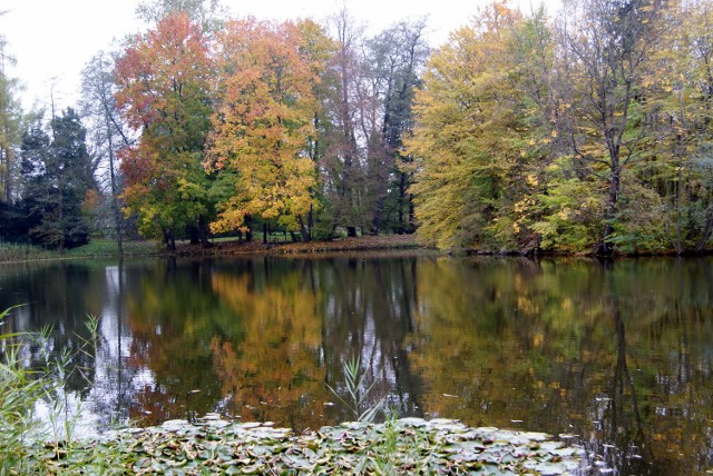 Krasiczyn jesienią 2011