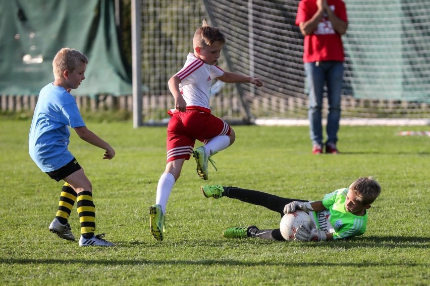 Grudziądzkie kluby sportowe otrzymają pieniądze na treningi dla dzieci z rządowego programu "Klub"