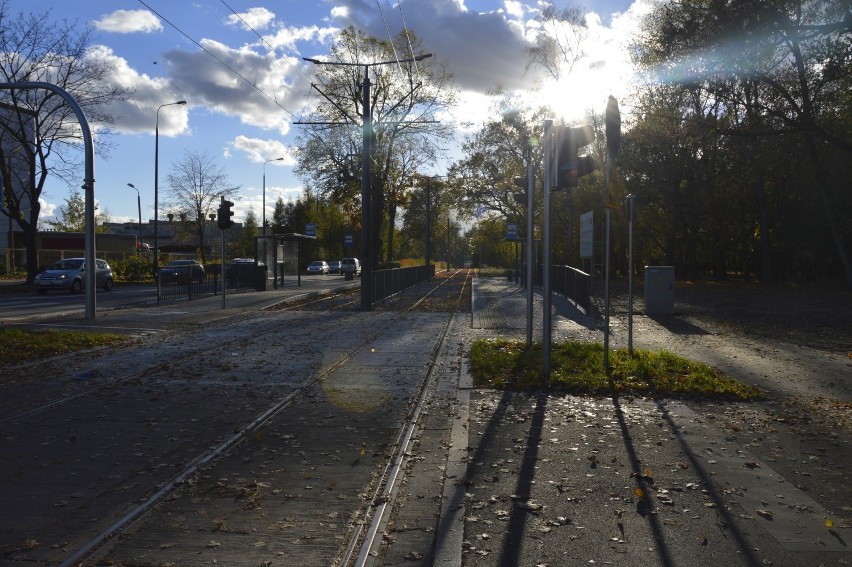 Gorzów: Jak od nowego przystanku dojść do szpitala? Ulicą, ulicą, drodzy gorzowianie. Bo chodnika jeszcze nie ma [GALERIA]