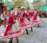 Zakończenie sezonu działkowego w Płocku [FOTO]