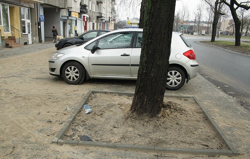 Niecka z rosnącym drzewem. Jest jeszcze drugie. Ale brakuje...