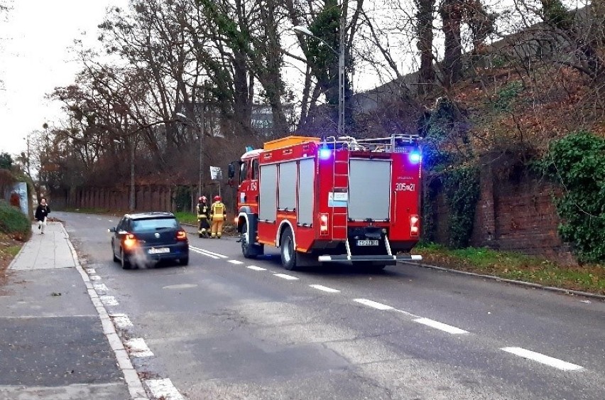 Na Robotniczej drzewo spadło na jezdnię