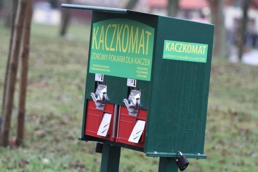 Automat z karmą dla kaczek pojawił się w parku przy ul. Wojska Polskiego i Dworcowej w Kościerzynie
