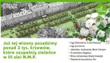 Dwa tysiące krzewów w alei NMP w Częstochowie. Posadzi je Centrum Usług Komunalnych