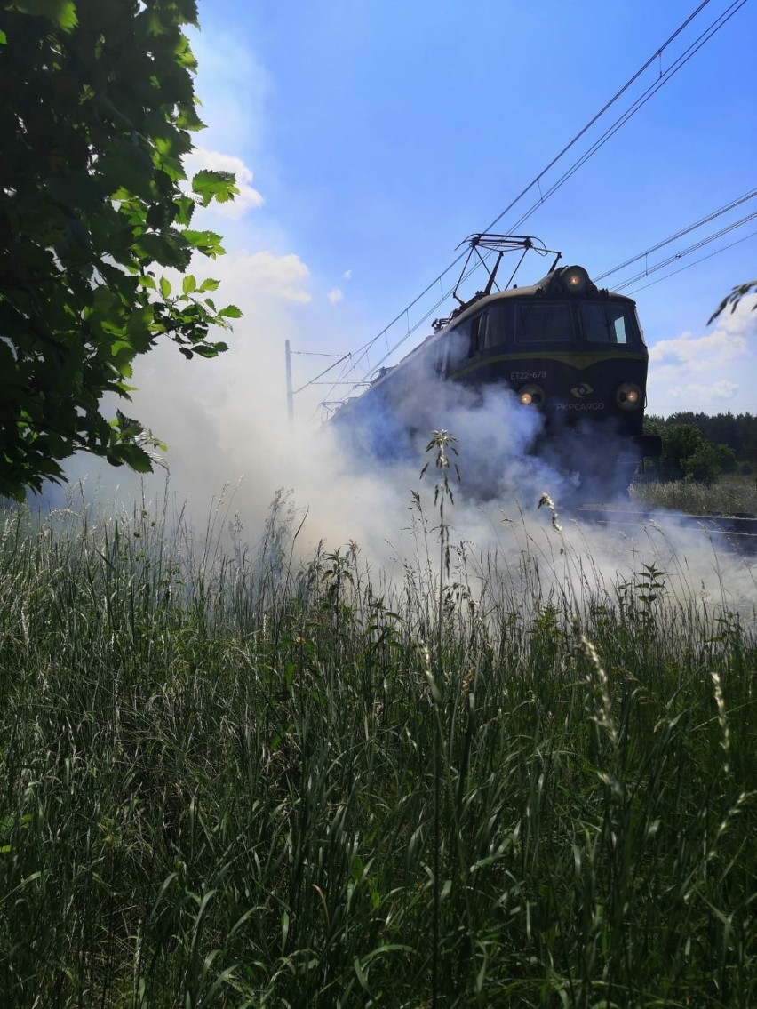 Strażacy z Kostrzyna nad Odrą zostali zaalarmowani o...