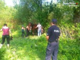 Niecodzienna akcja w Hecznarowicach: koń utknął na mostku