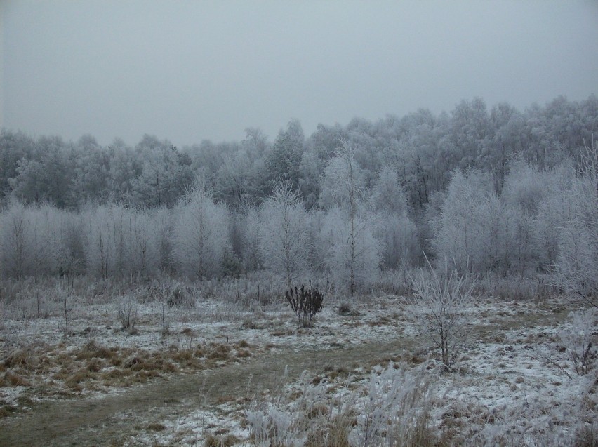 Zima w pełni. Fot. Adrian Starczewski