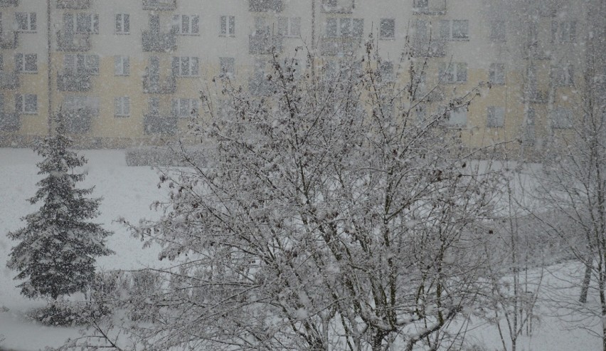 Zima 2021 w Bełchatowie