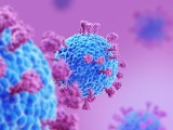 Nowy koronawirus – skąd się wziął i jak powstał? Naukowcy zaprzeczają teoriom spiskowym związanym z pochodzeniem SARS-CoV-2