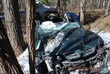Dubeczno: Wiatr powalił drzewo na jadący samochód
