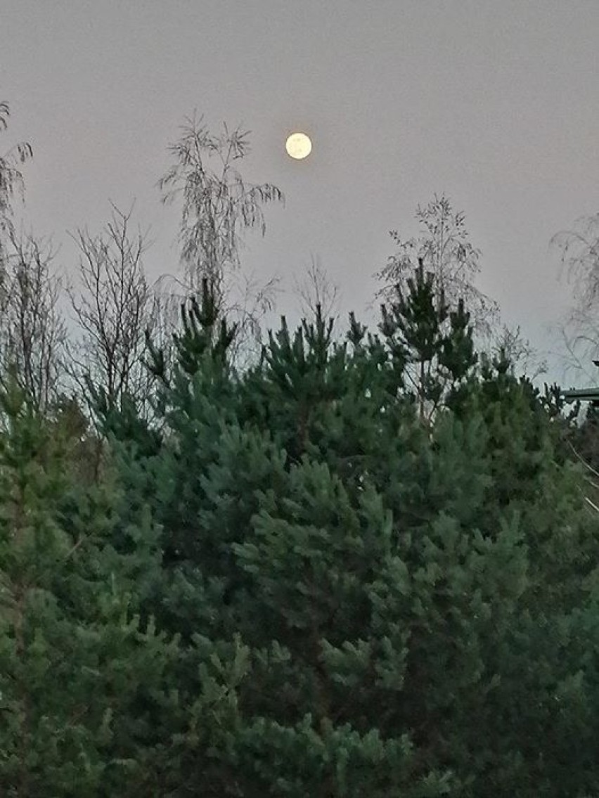Księżyc w pełni w obiektywie Czytelników Naszego Miasta Wrocław (ZDJĘCIA)