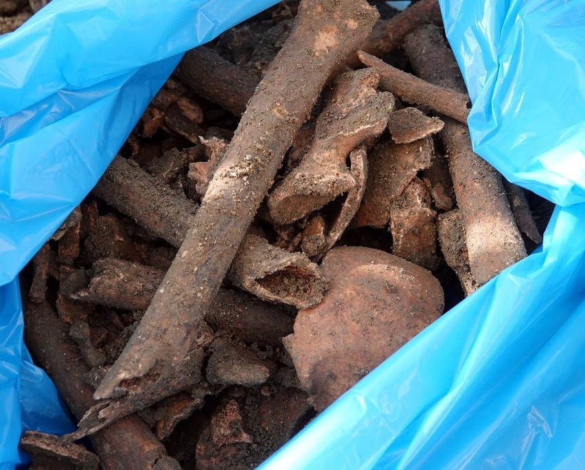 Znaleziono ludzkie kości przy budynku Starostwa Powiatowego