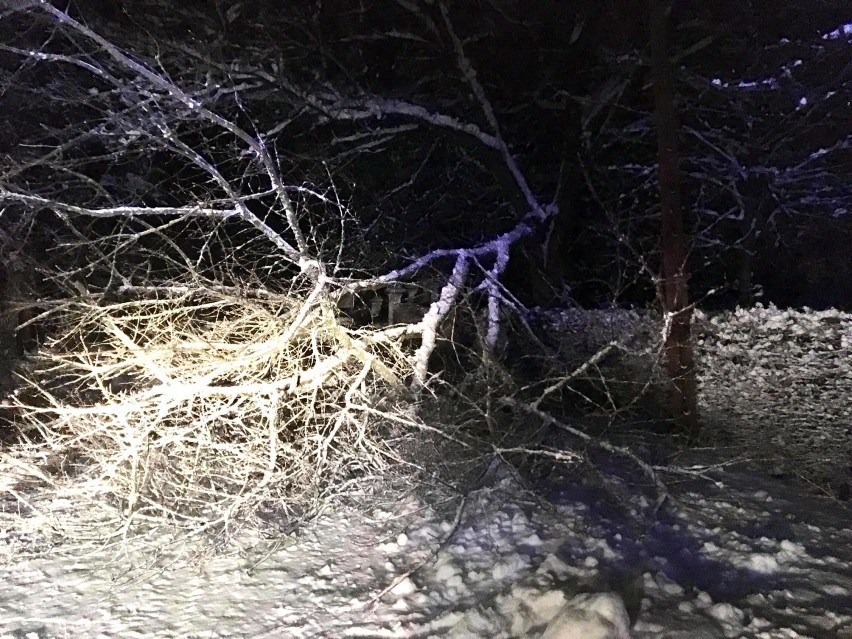Nocna akcja usuwania powalonego drzewa w Bistuszowej k....