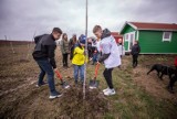 Na terenie Psiej Wioski w Żurawicy pod Przemyślem posadzono 100 drzew