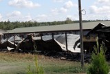 Ponad sześć tysięcy sztuk drobiu zginęło w pożarze w powiecie inowrocławskim