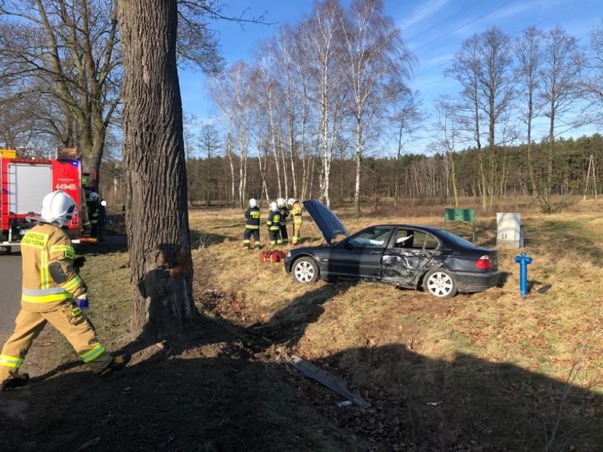 Wola Jabłońska: BMW rozbiło się o drzewo [ZDJĘCIA]