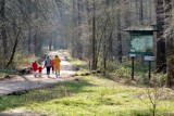 „Tłumy na Zalewem Zemborzyckim. To nieodpowiedzialne” – alarmuje Czytelniczka. Służby uspokajają. Zobacz zdjęcia