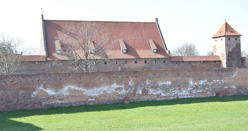 Malbork. Zamek miejscami biały po zimie. To naturalne zjawiska na murach, ale muzeum będzie się starało zaradzić im na przyszłość