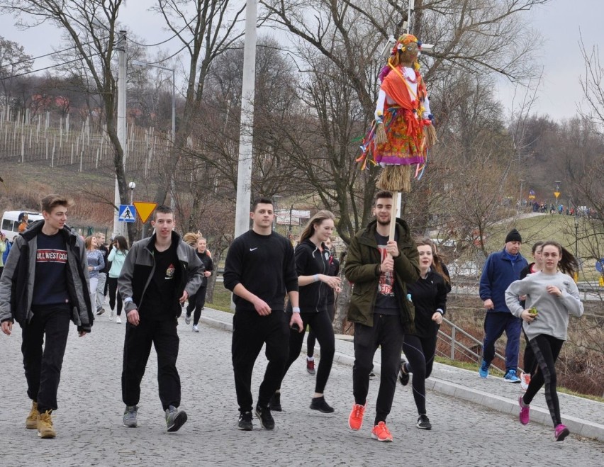 Bieg na powitanie wiosny w Sandomierzu z... marzannami