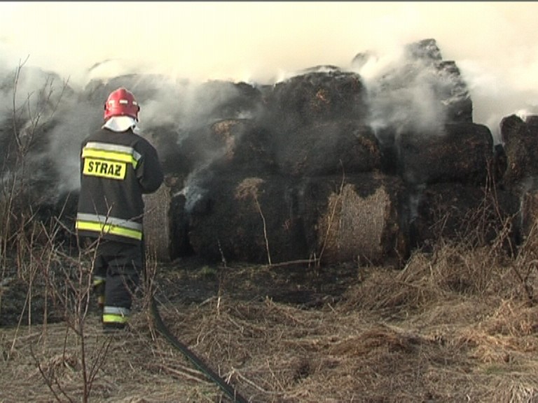 Prawdopodobnie za pożarami stogów siana w Dłużewie stoi małoletni podpalacz