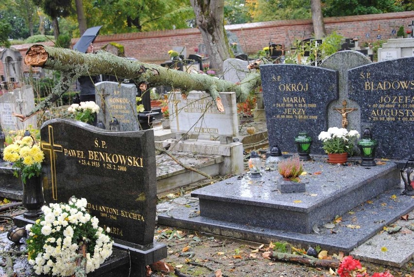 Piątkowa wichura wyrządziła szkody na kartuskim starym cmentarzu i Parku Solidarności