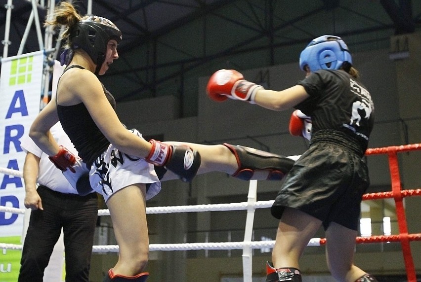 Świebodzice: Trwają MP w kick-boxingu (Zdjęcia)