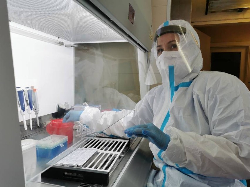 Badania laboratoryjne potwierdziły zakażenia wirusem SARS...