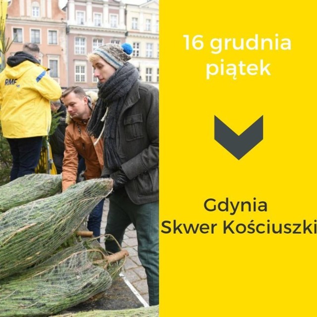 Darmowe choinki w Gdyni jak co roku będą rozdawać na Skwerze Kościuszki