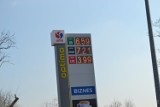 Ceny paliw w Pile. Czy różnią się na poszczególnych stacjach? 