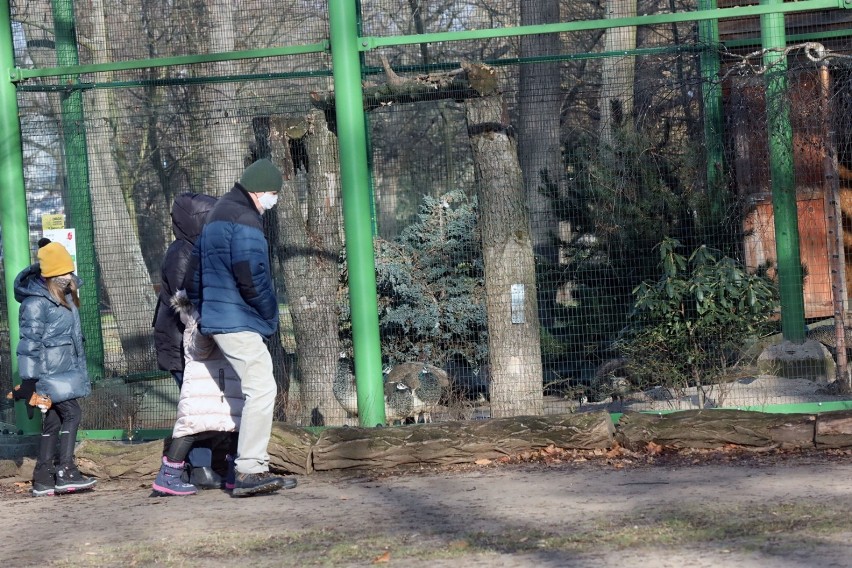 Zima w Parku Wrocławskim, sporo zwierząt nie chowa się w budkach