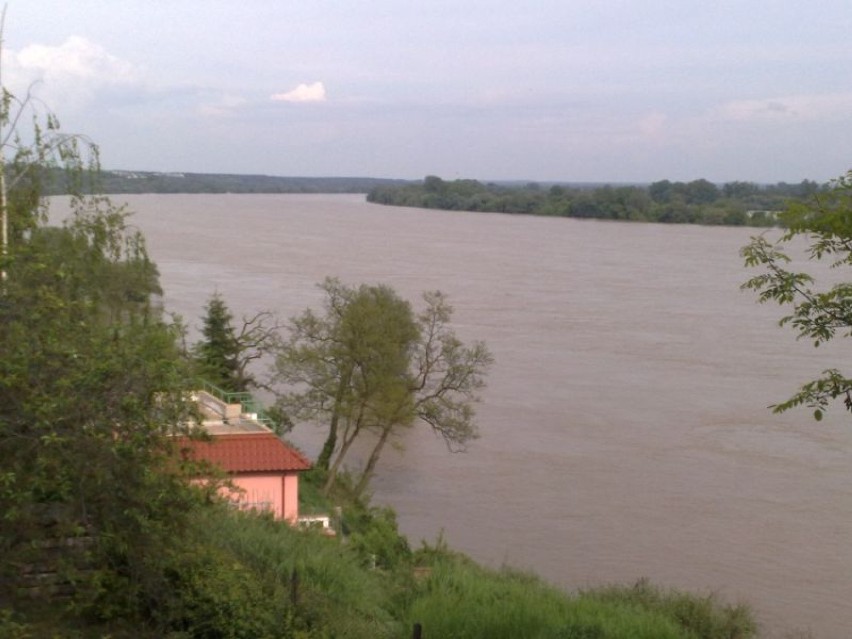 Powódź w Toruniu - Winnice