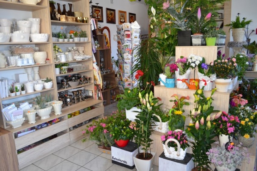 Mistrzowie Handlu 2015 - Kwiaciarnia Roku - Kwiaciarnia Bukiecik w Garczu