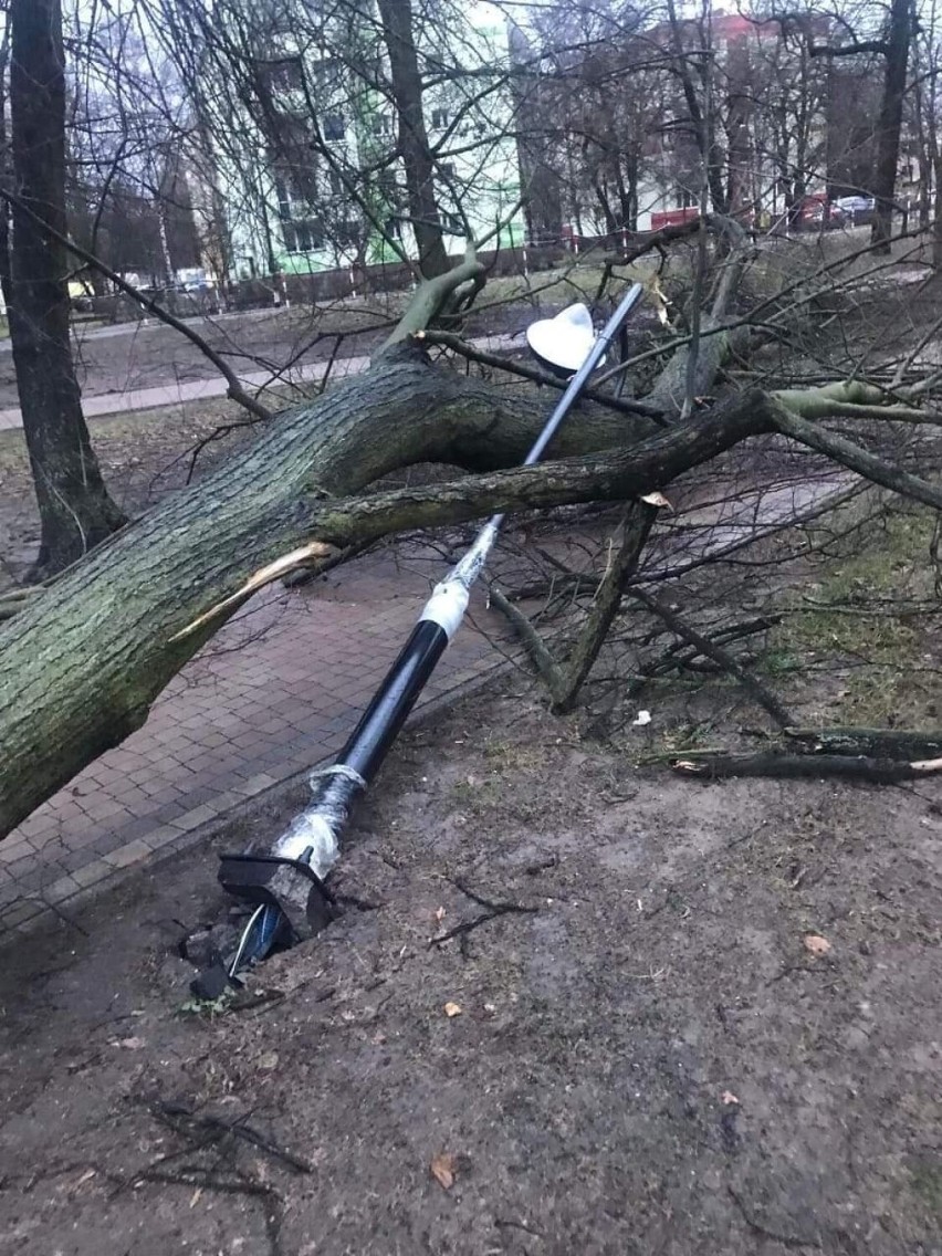 Wichura przewracała drzewa i lampy, niszczyła dachy