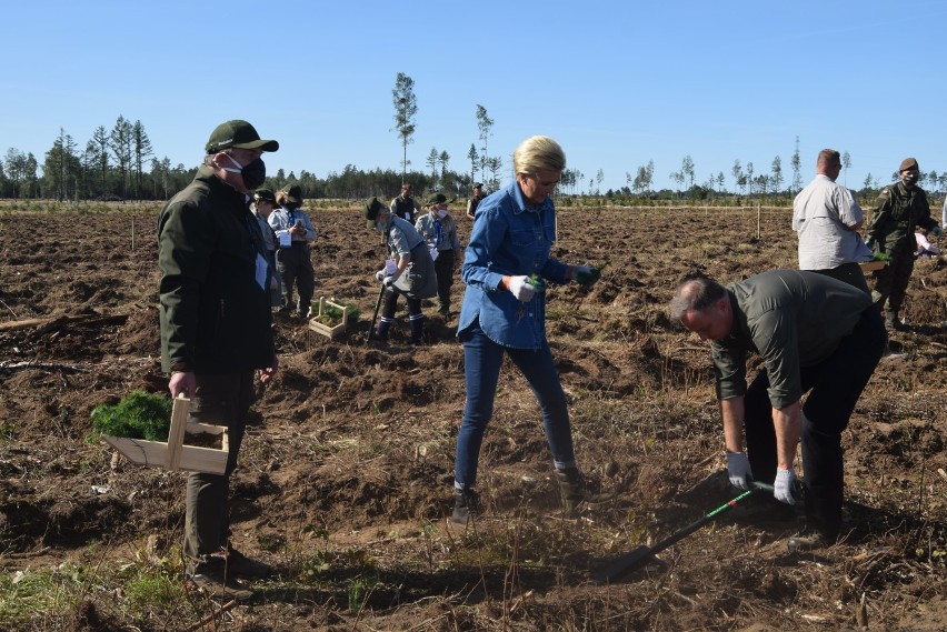 Akcja „sadziMY” z Parą Prezydencką. Prezydent RP Andrzej Duda i Pierwsza Dama Agata Kornhauser-Duda wzięli udział w sadzeniu lasu