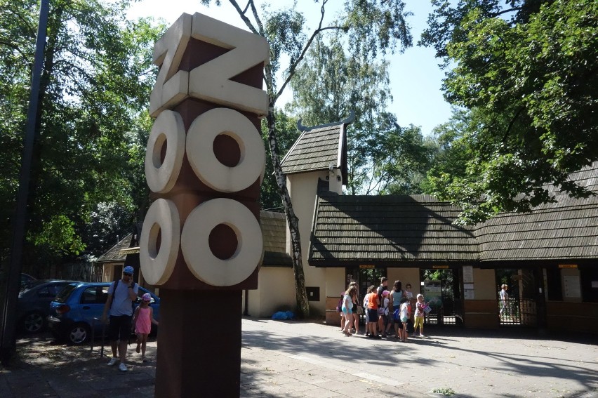 Burza w Łodzi. ZOO zamknięte dla zwiedzających [ZDJĘCIA]