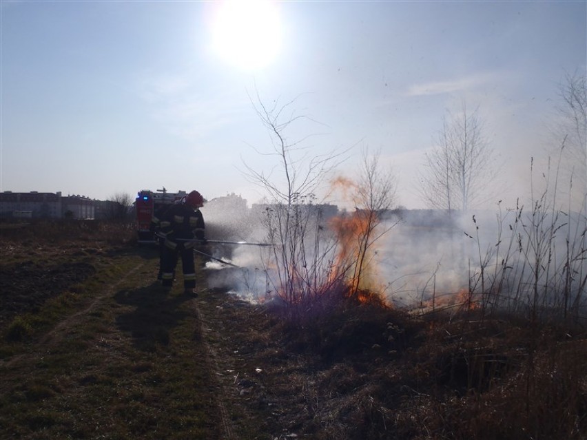 Straż pożarna w Kraśniku apeluje o niewypalanie traw