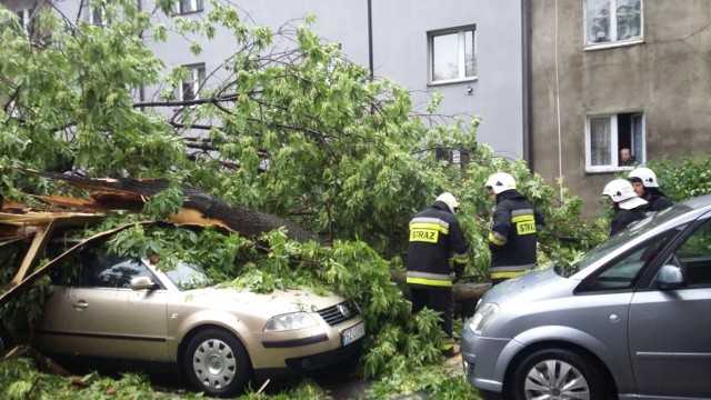 Najgorzej jest na ul. Fredry, Piłsudskiego, Czarneckiego i Sobieskiego. Ale poważnie ucierpiały też Biskupice