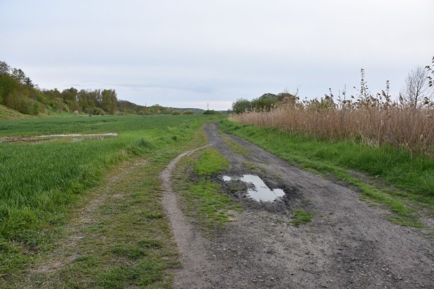 Przedłużenie bulwaru nad Nogatem w Malborku