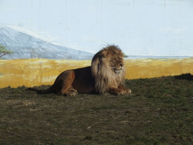 Zamojskie zoo: pogoda sprzyja zwiedzającym